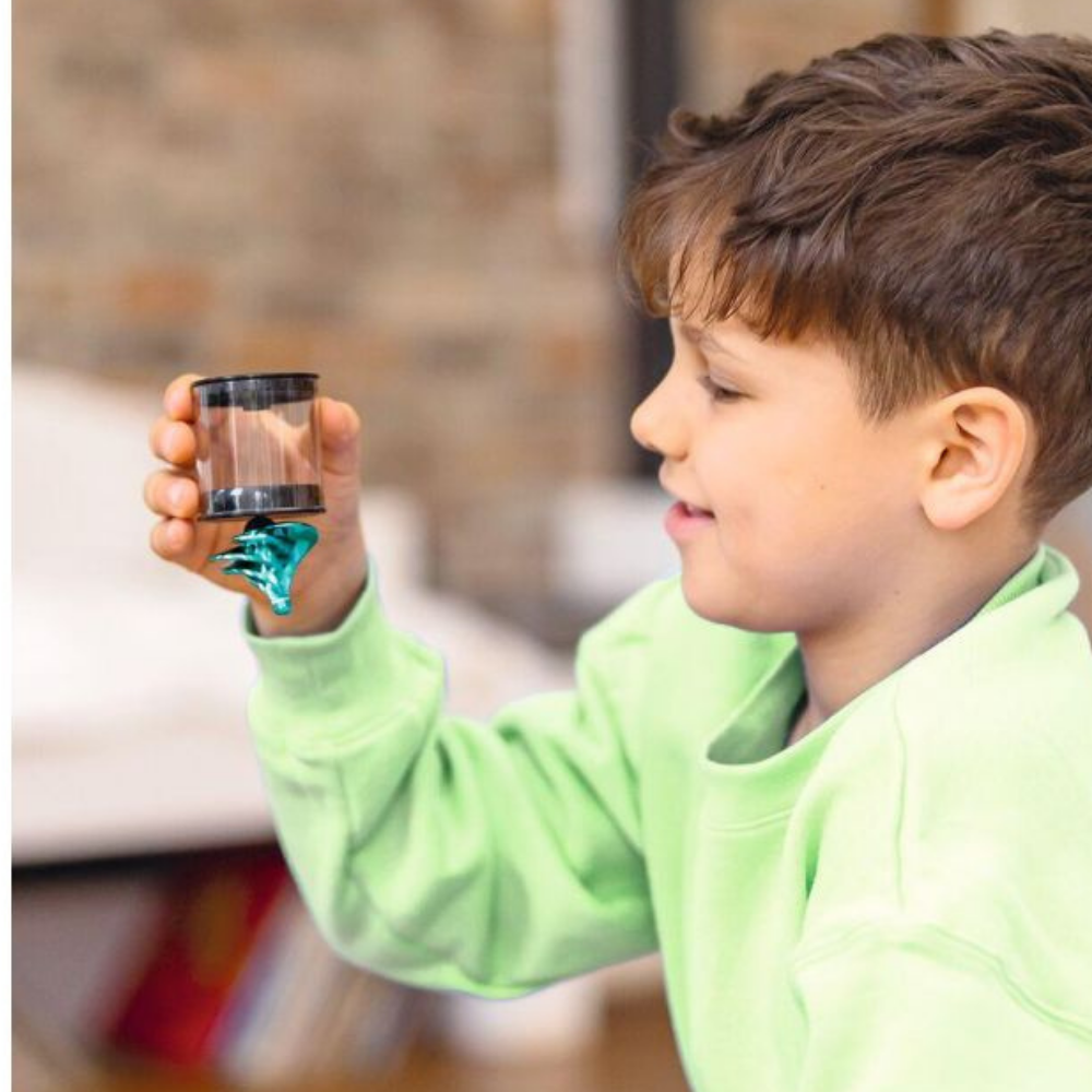 PhänoMINT blaas tol