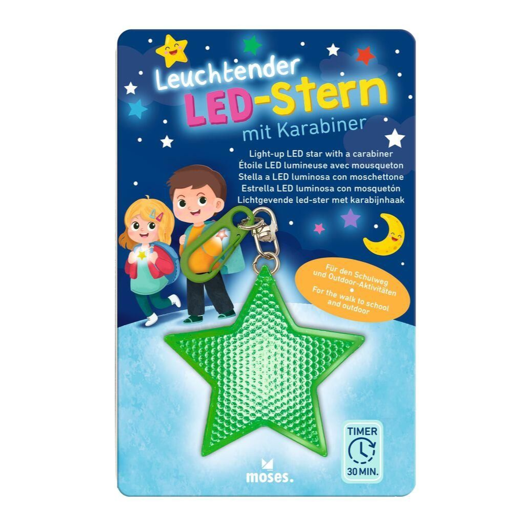 Lichtgevende ster sleutelhanger