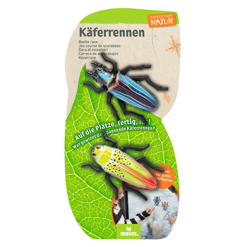 Expeditie natuur 2 rennende kevers