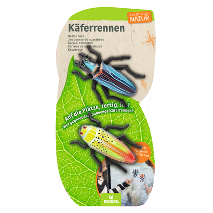 Expeditie natuur 2 rennende kevers