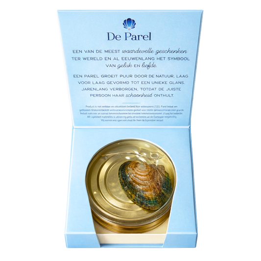 Parel voor jou - Wensparel cadeau set