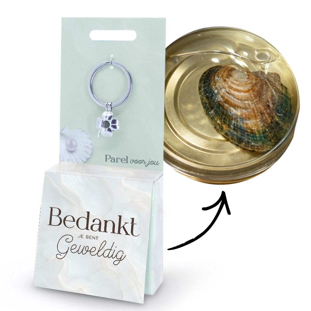 Parel voor jou - Wensparel cadeau set