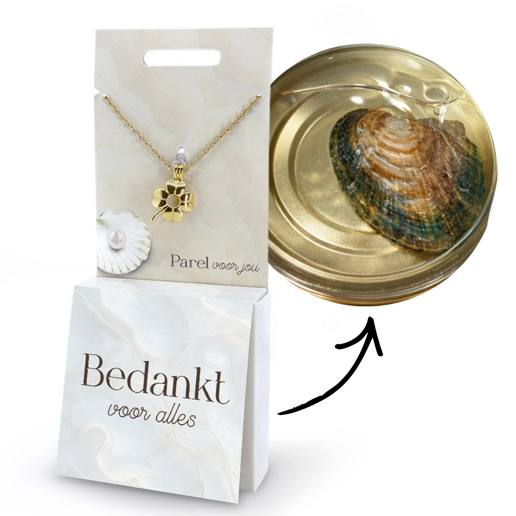 Parel voor jou - Wensparel cadeau set