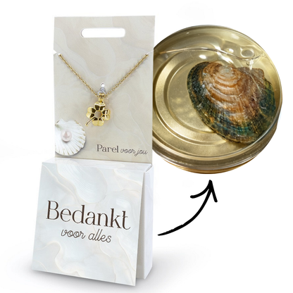 Parel voor jou - Wensparel cadeau set