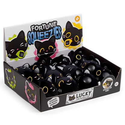 Queasy Squeezies Waarzegger Lucky de Zwarte Kat