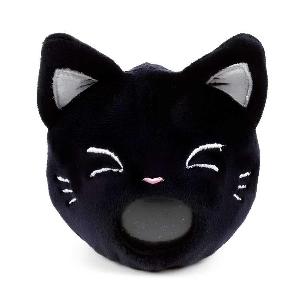 Queasy Squeezies Waarzegger Lucky de Zwarte Kat