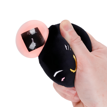 Queasy Squeezies Waarzegger Lucky de Zwarte Kat