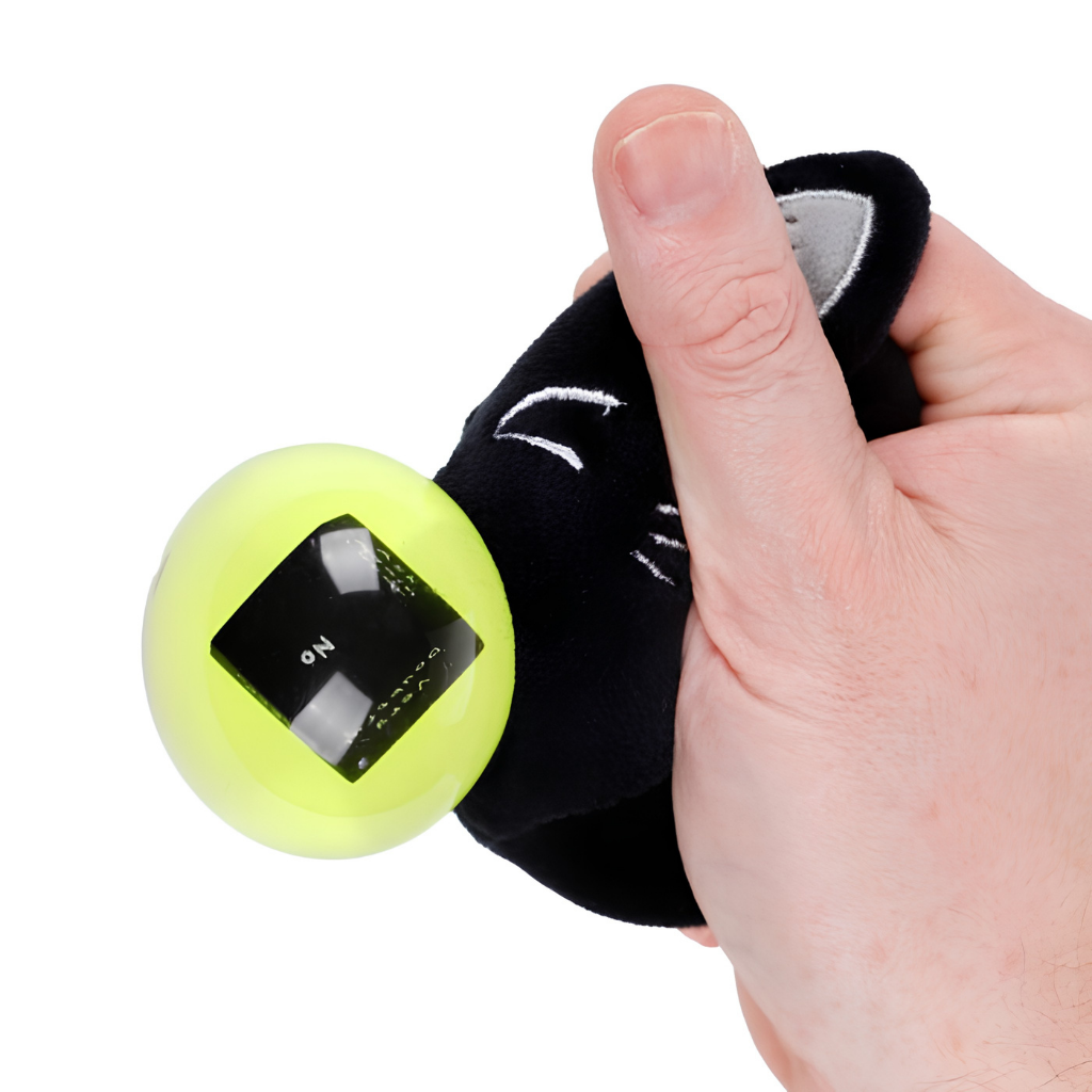 Queasy Squeezies Waarzegger Lucky de Zwarte Kat