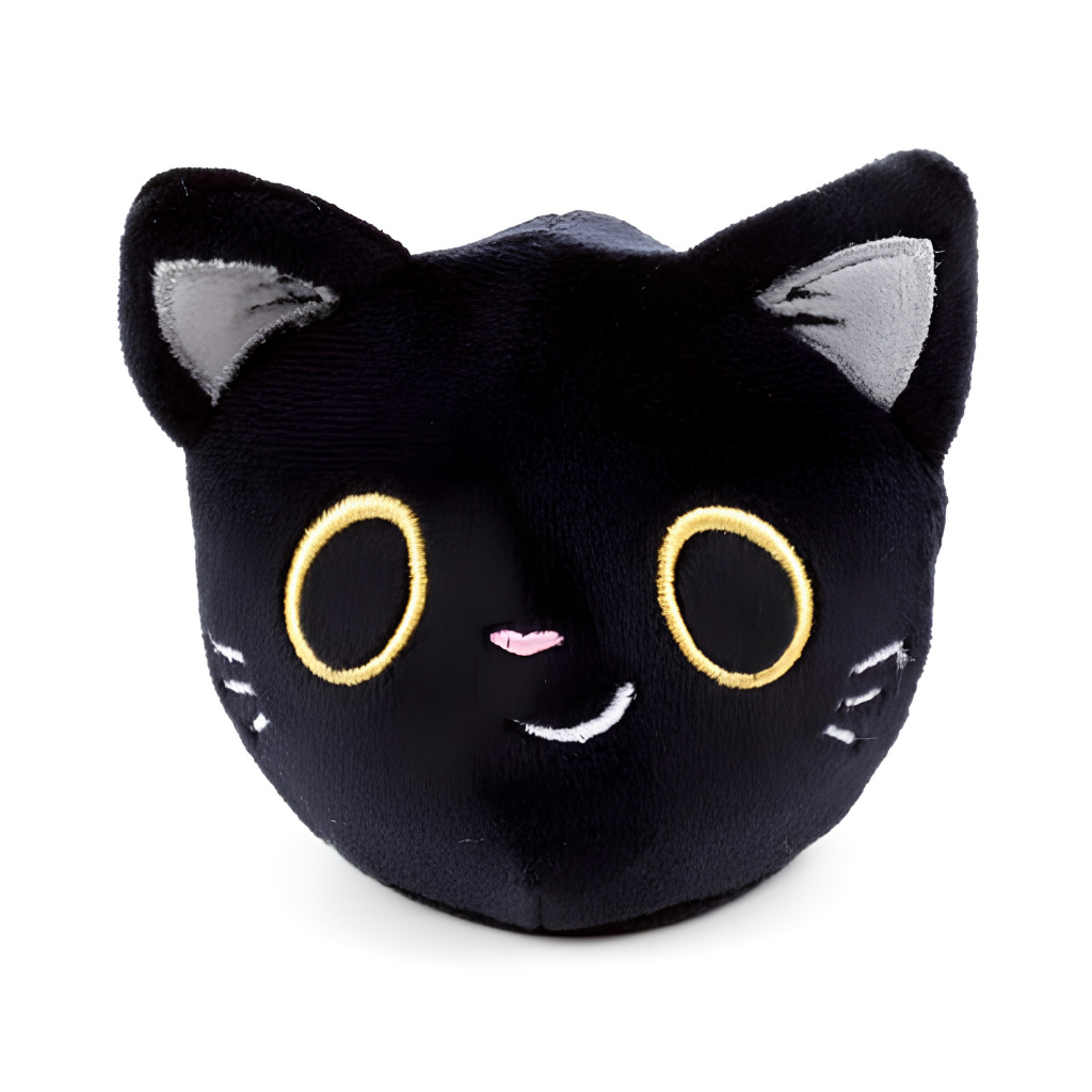 Queasy Squeezies Waarzegger Lucky de Zwarte Kat