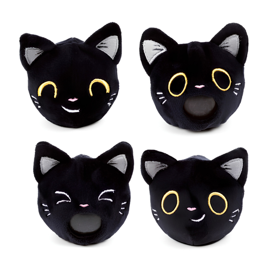 Queasy Squeezies Waarzegger Lucky de Zwarte Kat