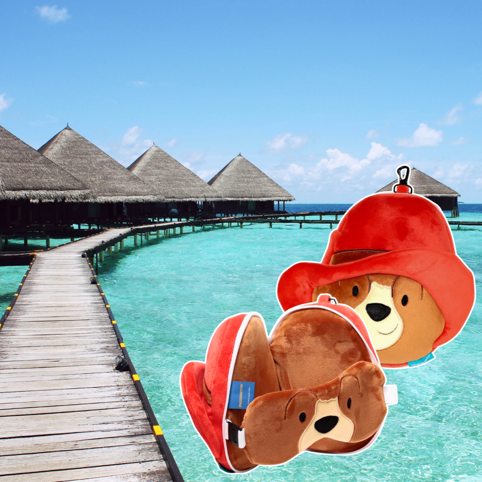 Reiskussens