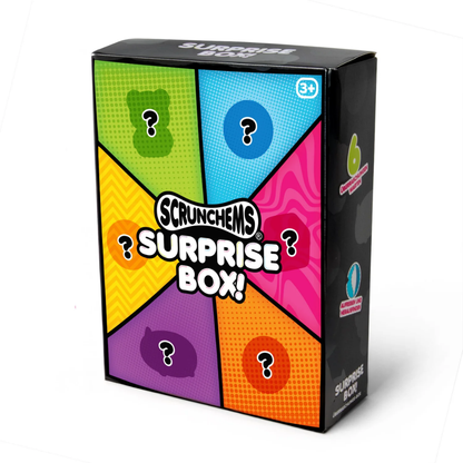 Scrunchems - Surprixe box met 6 fidgets