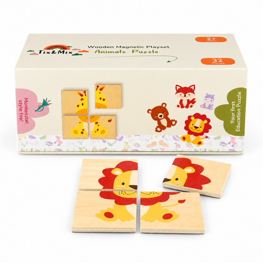 Tix-Mix magnetische speelset