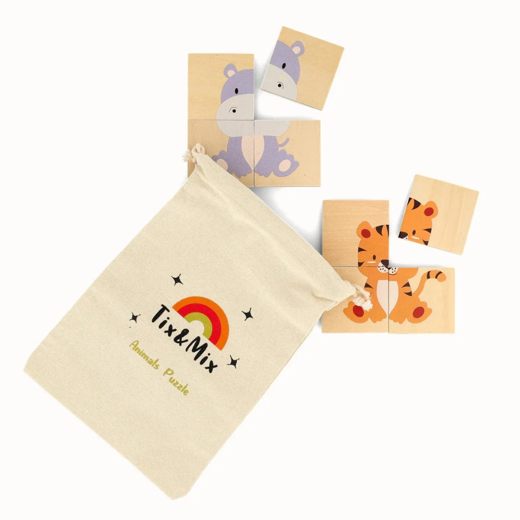 Tix-Mix magnetische speelset