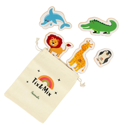Tix-Mix magnetische speelset