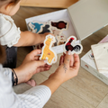 Tix-Mix magnetische speelset