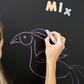 Tix-Mix magnetische tekenmuur met 2 krijtjes