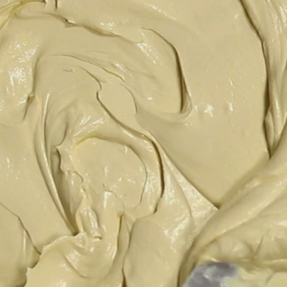 Teaology - Kombucha Daily Protection SPF20