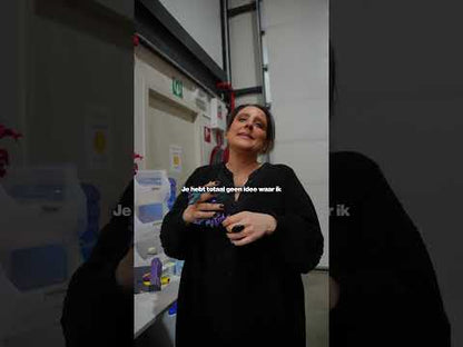 Gevleugelde draak met metallic coating