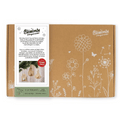 Blossombs bloembommetjes - DIY kersthangers (9 stuks)
