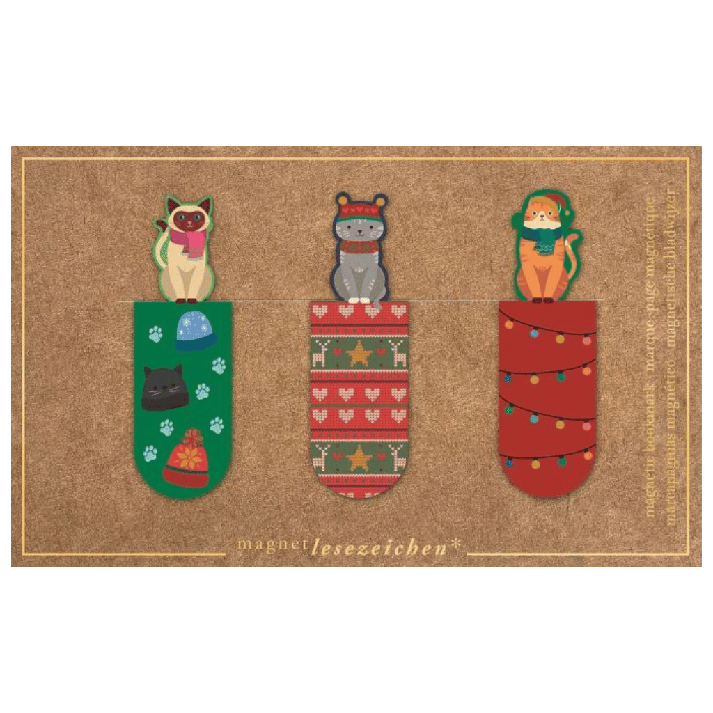 Magnetische bladwijzer set van 3