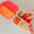 B.box - Bento Lunchbox Medium
