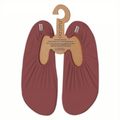 Slipstop antislip waterschoenen voor tieners/volwassenen - Burgundy